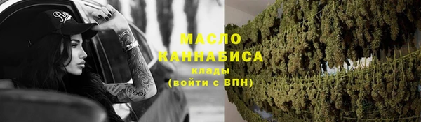 сатива Каменногорск