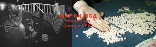 сатива Каменногорск