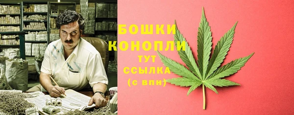 мескалин Каменка