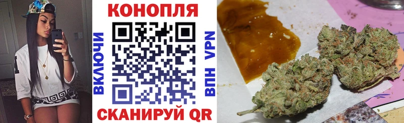 Бошки марихуана конопля  где купить наркоту  Красноармейск 
